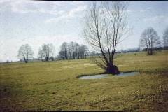 slajd-3.13_1024_x_768