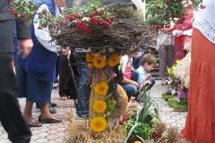 IMG_8170_1024_x_768