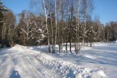 fot.-e-piwek-16_1024_x_768