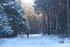 fot.-e-piwek-2_1024_x_768